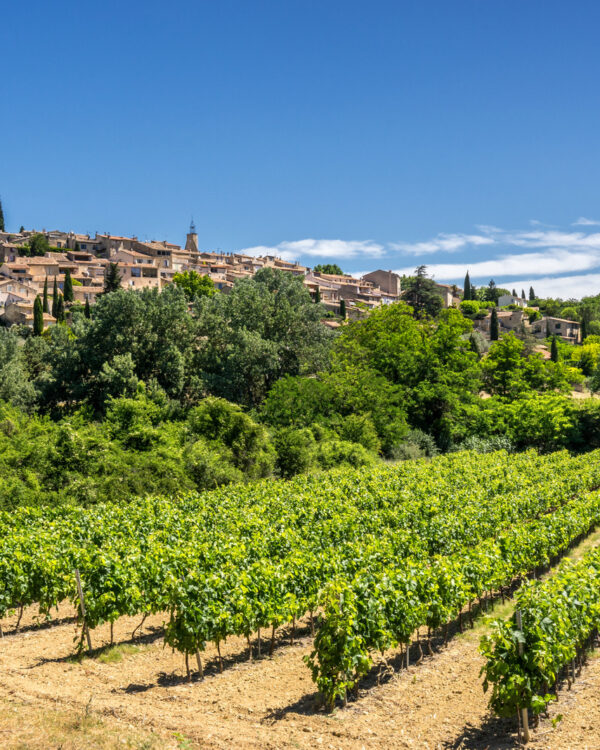 Looking across a vineyard towards the hill top village of Ansouis in the Luberon Provence
